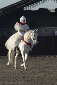 Collecting Ring Fancy Dress!